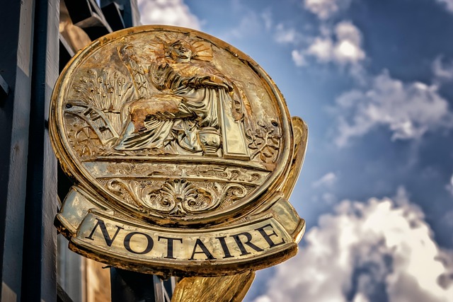 What to Bring When Visiting a Notary Public Service
